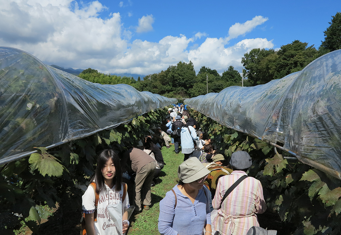 西原ぶどう園